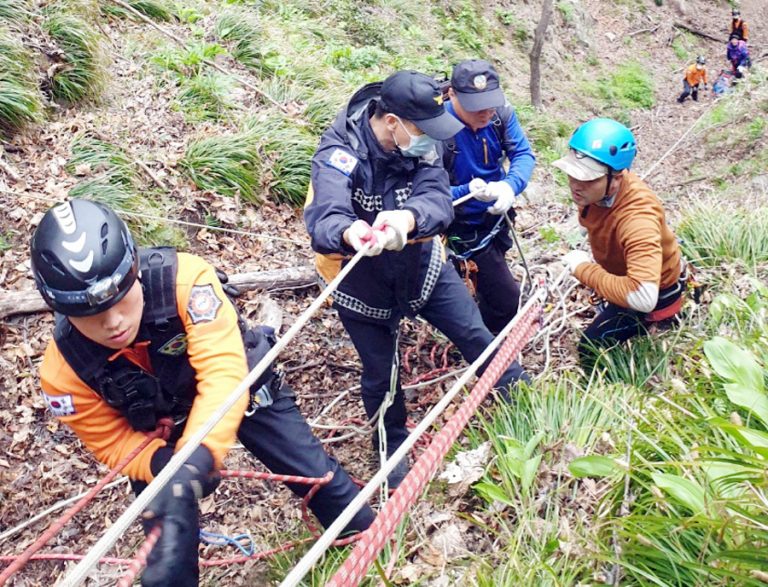 울릉도 산나물채취 올해 첫 희생자 발생